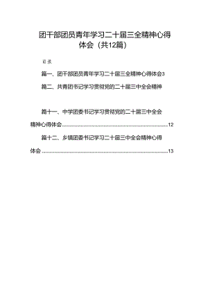 团干部团员青年学习二十届三全精神心得体会范文12篇（最新版）.docx