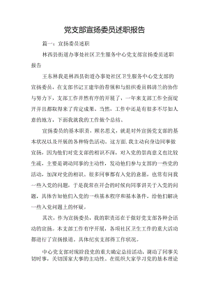 党支部宣传委员述职报告.docx