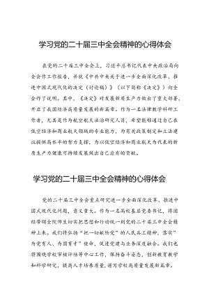 二十届三中全会精神心得体会发言25篇.docx