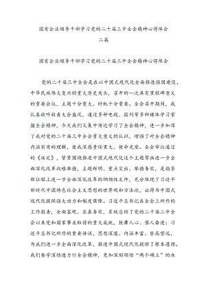 国有企业领导干部学习党的二十届三中全会精神心得体会二篇.docx