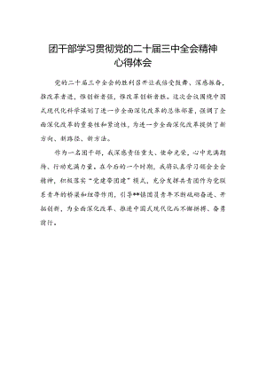 团干部学习贯彻党的二十届三中全会精神心得体会范文.docx