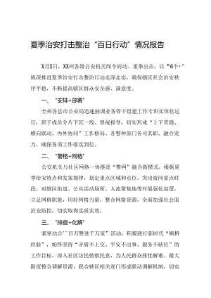公安推进夏季治安打击整治行动工作报告十六篇.docx