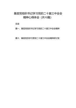 基层党组织书记学习党的二十届三中全会精神心得体会十篇（精选）.docx