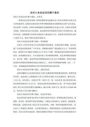 农村小本创业项目哪个最好.docx