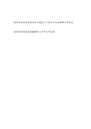 城市综合执法局局长学习党的二十届三中全会精神研讨发言心得体会和县综合行政执法局2024年上半年工作总结.docx