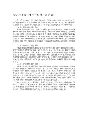 学习二十届三中全会精神心得感悟 .docx