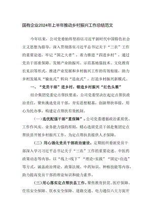 国有企业2024年上半年推动乡村振兴工作总结范文.docx