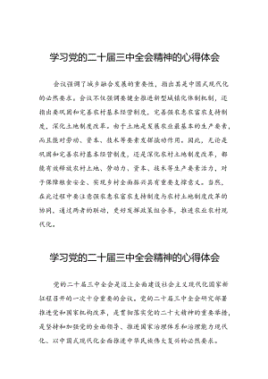 学习贯彻2024年二十届三中全会精神心得体会范例四十篇.docx