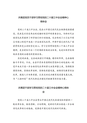 共青团党员干部学习贯彻党的二十届三中全会精神心得体会8篇（精选版）.docx