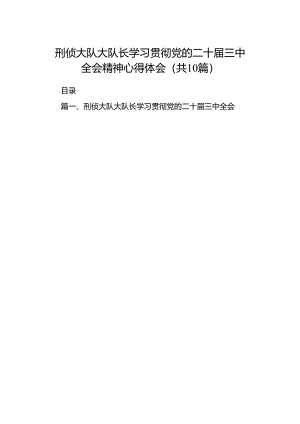 刑侦大队大队长学习贯彻党的二十届三中全会精神心得体会（共10篇）.docx