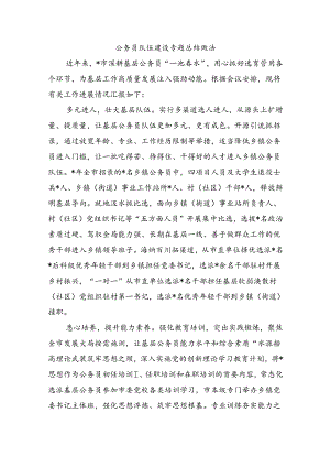 公务员队伍建设专题总结做法.docx