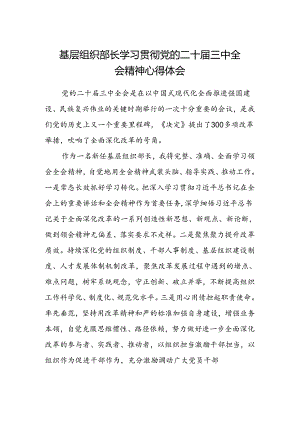 基层组织部长学习贯彻党的二十届三中全会精神心得体会.docx
