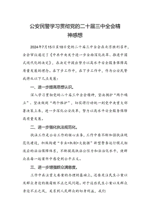 公安民警学习贯彻党的二十届三中全会精神感想.docx