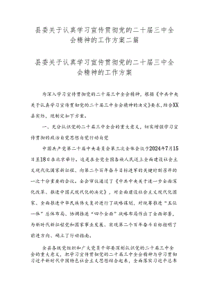 县委关于认真学习宣传贯彻党的二十届三中全会精神的工作方案二篇.docx