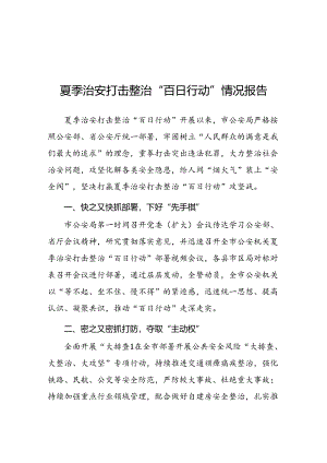 县公安2024夏季治安打击整治行动工作总结15篇.docx