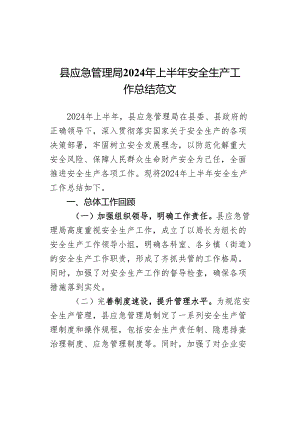 2024年上半年安全生产工作总结汇报报告局.docx