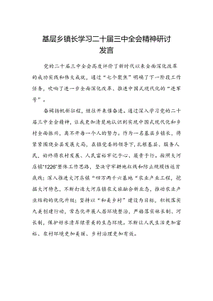 基层乡镇长学习二十届三中全会精神研讨发言.docx