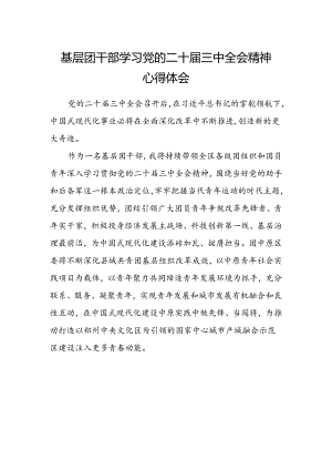 基层团干部学习党的二十届三中全会精神心得体会 .docx