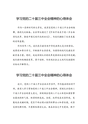 学习贯彻2024年二十届三中全会精神心得感悟合集四十篇.docx