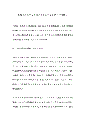 发改局局长学习党的二十届三中全会精神心得体会.docx