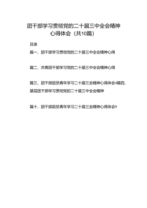 团干部学习贯彻党的二十届三中全会精神心得体会10篇供参考.docx