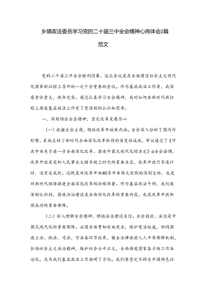 乡镇政法委员学习党的二十届三中全会精神心得体会2篇范文.docx