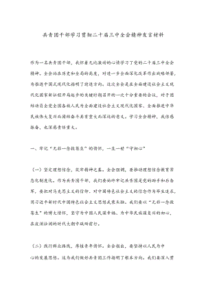 共青团干部学习贯彻二十届三中全会精神发言材料.docx