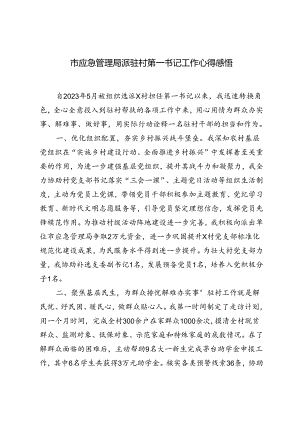 2024年派驻村第一书记工作心得体会感悟.docx
