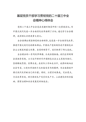 基层党员干部学习贯彻党的二十届三中全会精神心得体会 (4).docx
