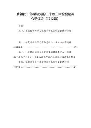 乡镇团干部学习党的二十届三中全会精神心得体会（共12篇）.docx