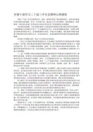 乡镇干部学习二十届三中全会精神心得感悟 .docx