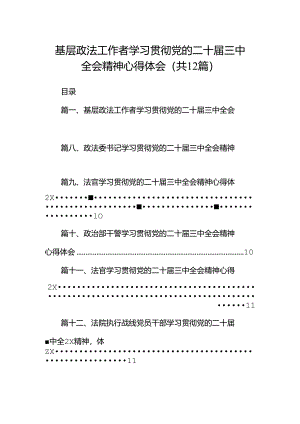 基层政法工作者学习贯彻党的二十届三中全会精神心得体会12篇（详细版）.docx