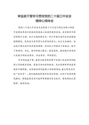 审监庭干警学习贯彻党的二十届三中全会精神心得体会.docx