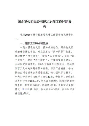国企某公司党委书记2024年工作述职报告.docx