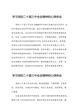 二十届三中全会精神的学习感悟三十六篇.docx