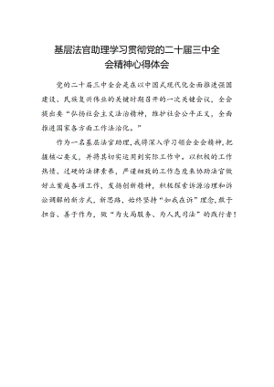 基层法官助理学习贯彻党的二十届三中全会精神心得体会.docx