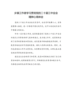 乡镇工作者学习贯彻党的二十届三中全会精神心得体会.docx