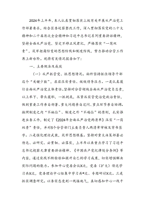 分管领导2024年上半年履行全面从严治党主体责任工作情况报告.docx