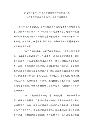 公司干部学习二十届三中全会精神心得体会.docx