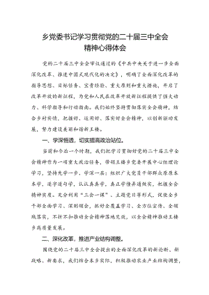 乡党委书记学习贯彻党的二十届三中全会精神心得体会.docx