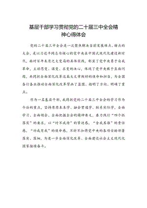 基层干部学习贯彻党的二十届三中全会精神心得体会 .docx
