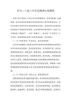 学习二十届三中全会精神心得感悟.docx