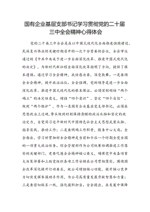 国有企业基层支部书记学习贯彻党的二十届三中全会精神心得体会.docx