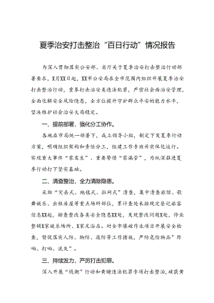 公安派出所2024年夏季行动工作总结15篇.docx