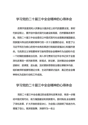 学习贯彻党的二十届三中全会精神的心得体会交流发言三十六篇.docx