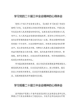 二十届三中全会公报学习体会三十五篇.docx
