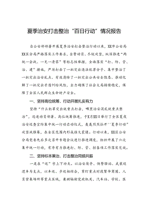 四篇派出所开展2024年夏季治安打击整治“百日行动”情况总结报告.docx