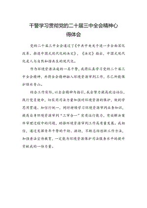 干警学习贯彻党的二十届三中全会精神心得体会.docx