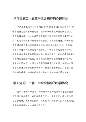 二十届三中全会精神的学习感悟交流体会三十六篇.docx