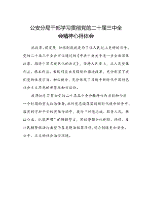 公安分局干部学习贯彻党的二十届三中全会精神心得体会.docx